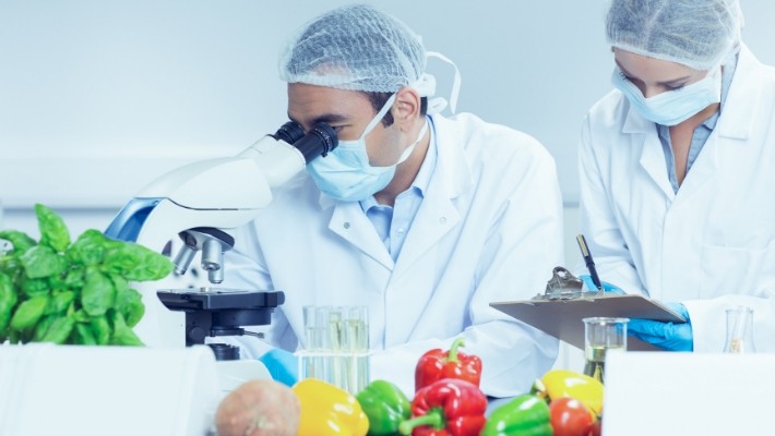 monitoring penerimaan bahan pangan sehat