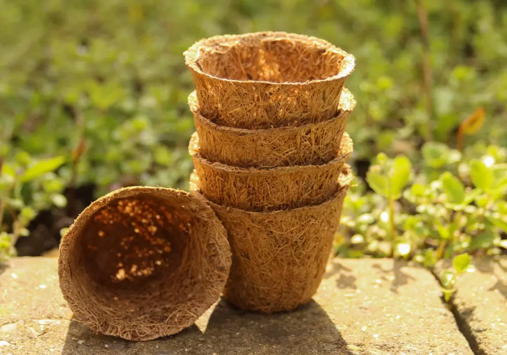 Penggunaan Coco Fiber dalam Pertanian Organik