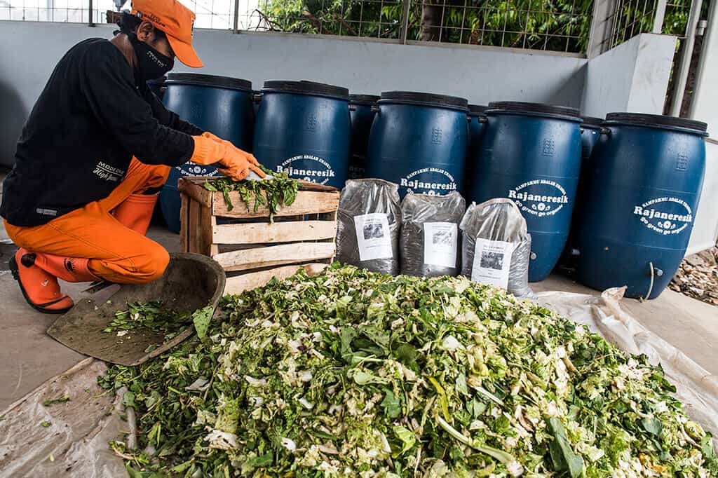pemanfaatan limbah rumput sebagai pakan