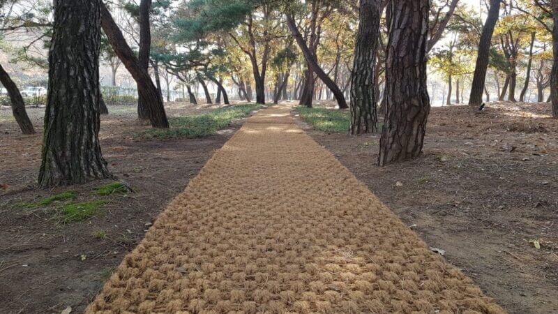 jaring sabut kelapa proyek lingkungan