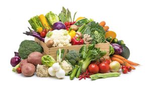 Peralatan Pengolahan Sayur Modern