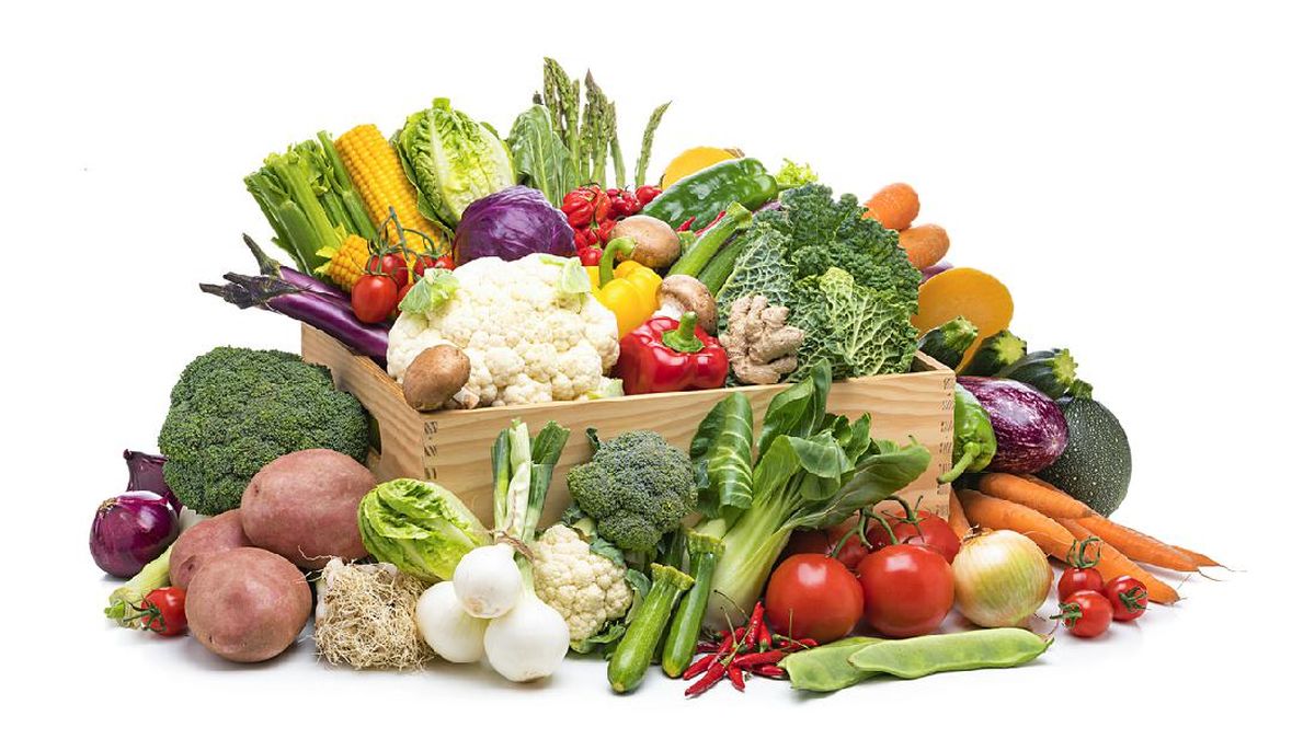 Peralatan Pengolahan Sayur Modern