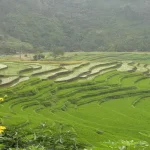 contoh-bangunan-konservasi-tanah-mekanis
