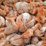 bahan alami untuk matras serat kelapa