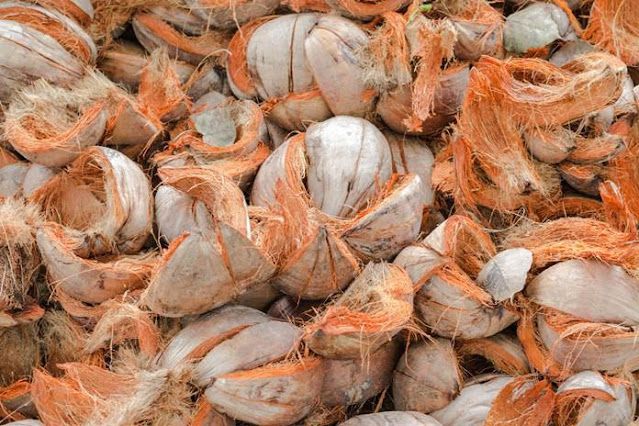 bahan alami untuk matras serat kelapa